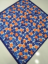 Moda kaşmir soft Eşarplar